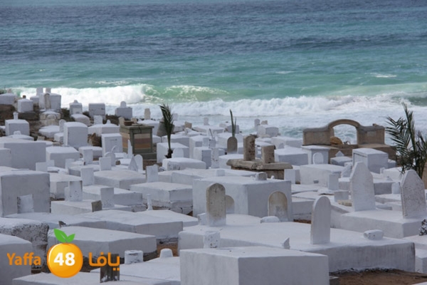 kazakhaknaa106 (2).JPG